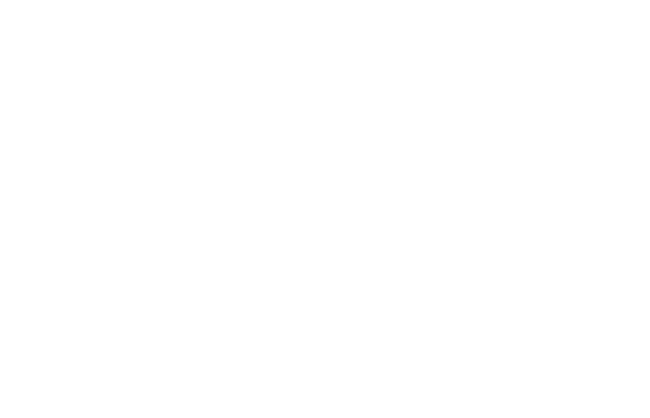 Stadtkapelle Freystadt, 86kB